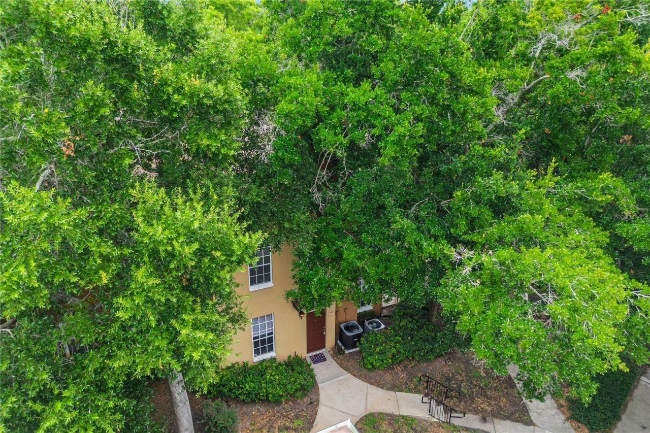 6324 Raleigh Street , Unit 702, Orlando, FL 32835 Photo