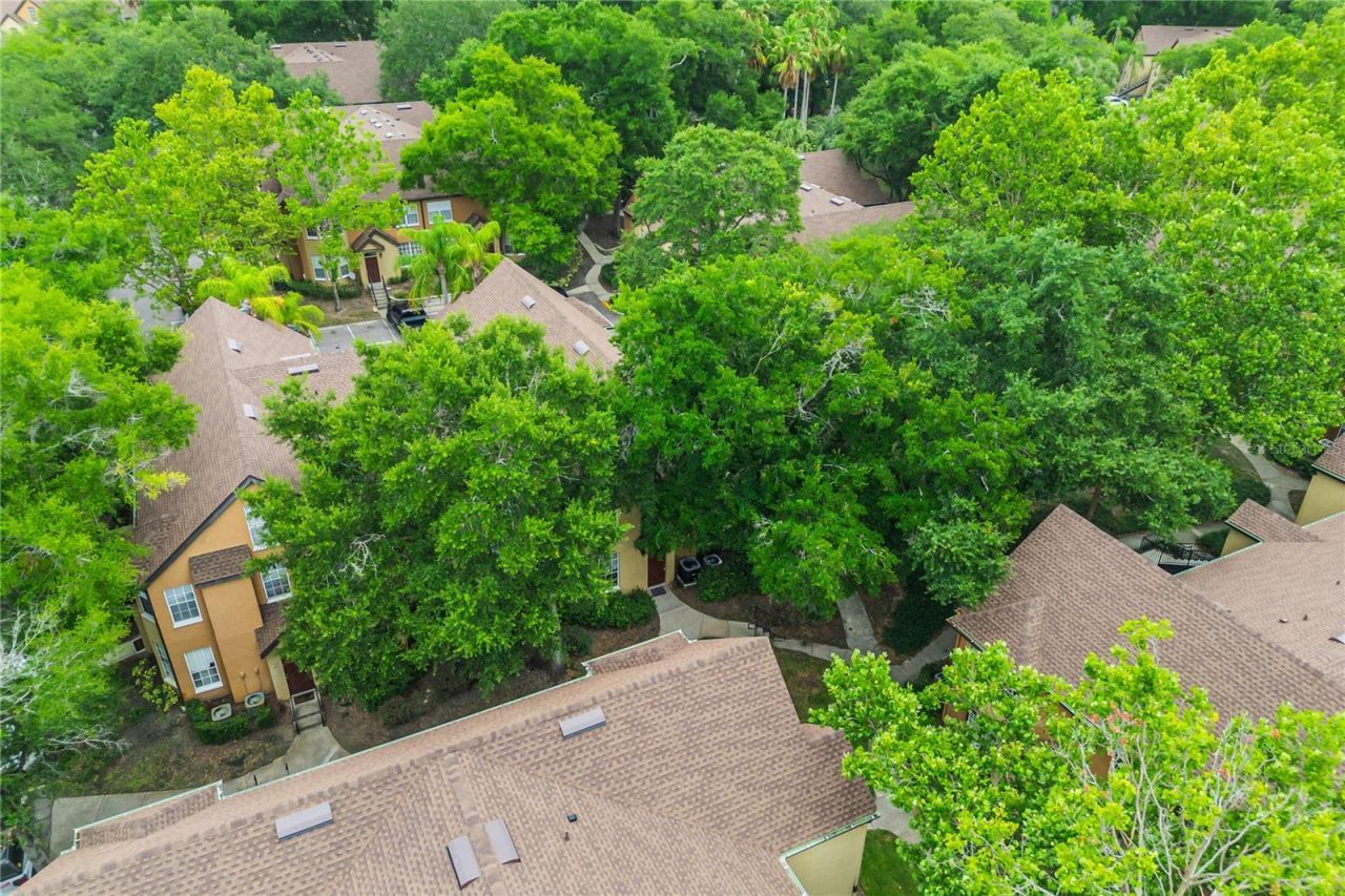 6324 Raleigh Street , Unit 702, Orlando, FL 32835 Photo