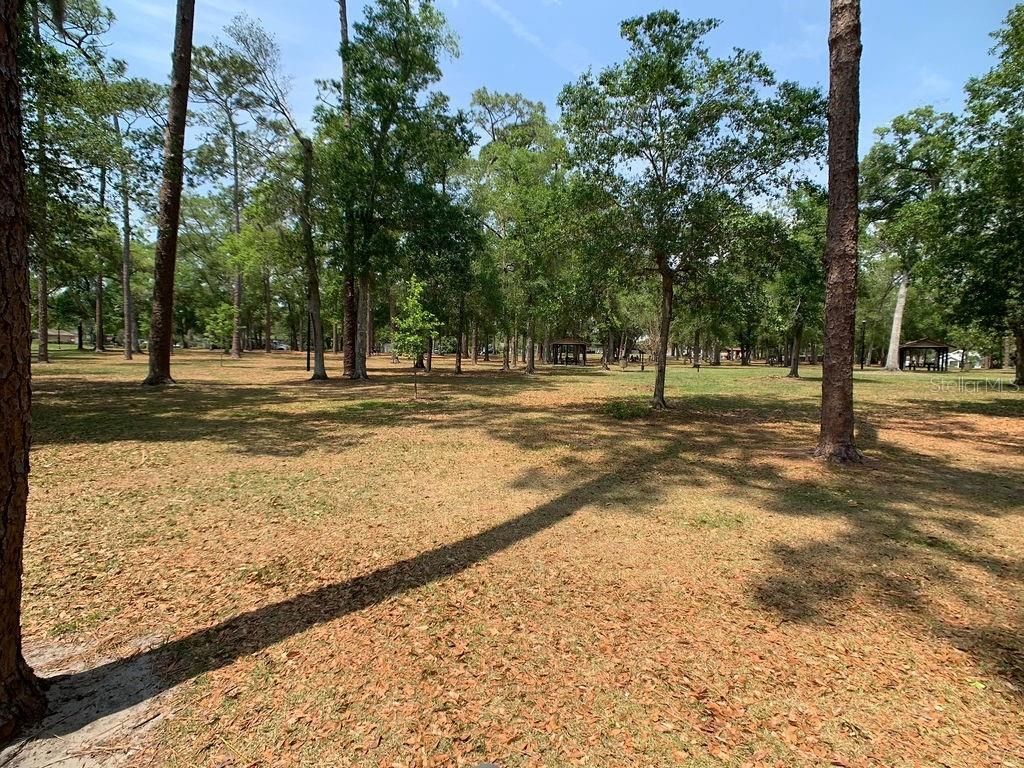 303 E Jersey Street, Orlando, FL 32806 Photo