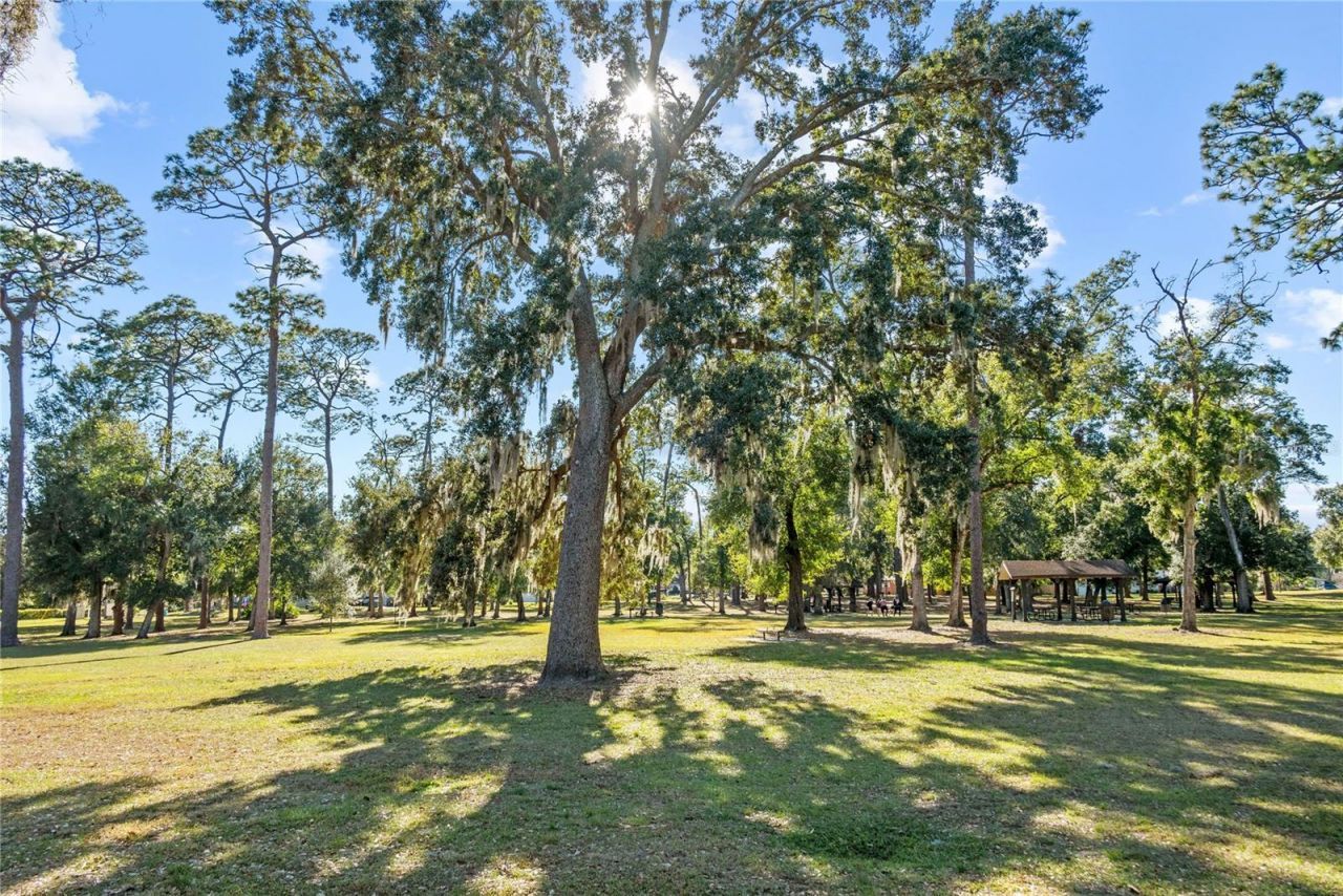 303 E Jersey Street, Orlando, FL 32806 Photo