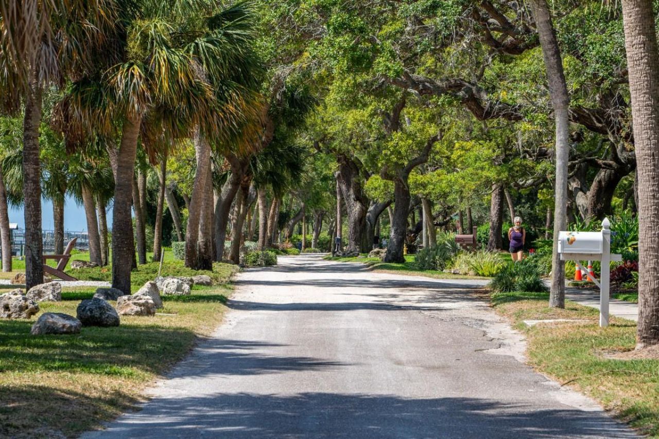 1658 Douglas Avenue , Dunedin, FL 34698 Photo