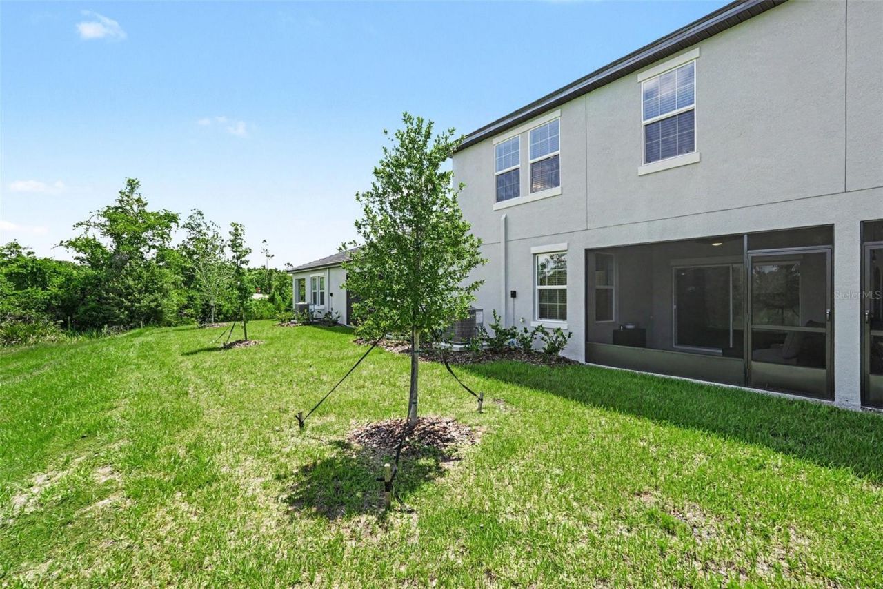 10911 Rustic Eve Court , Land O Lakes, FL 34638 Photo