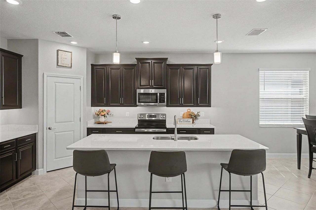 31609 Cannon Rush Drive, San Antonio, FL 33576 Photo