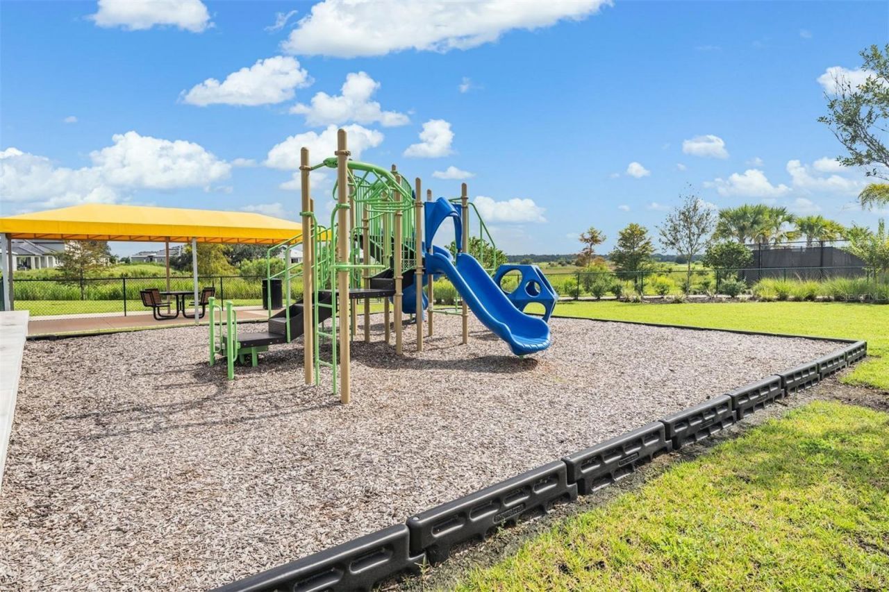 31609 Cannon Rush Drive, San Antonio, FL 33576 Photo