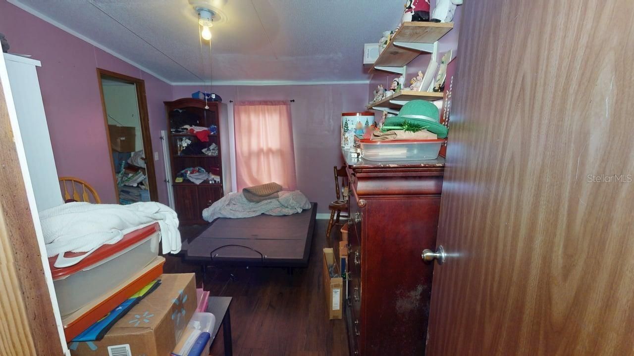 30501 Clearview Drive , Wesley Chapel, FL 33545 Photo