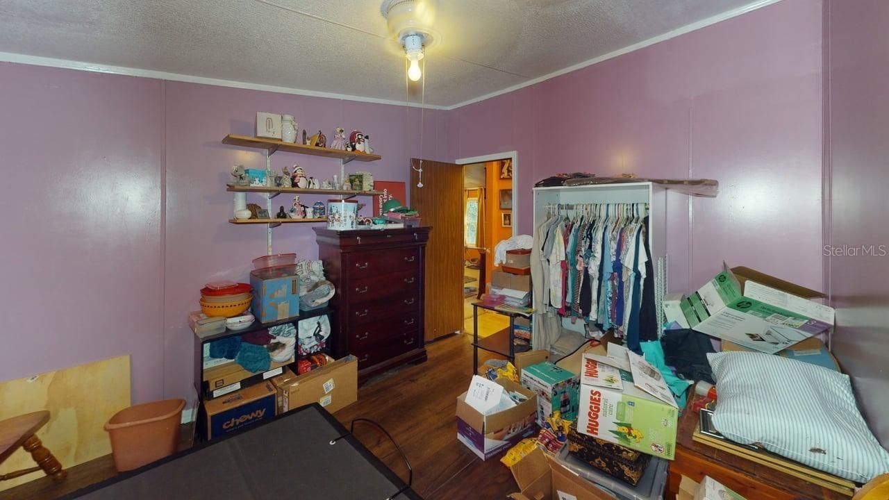 30501 Clearview Drive , Wesley Chapel, FL 33545 Photo