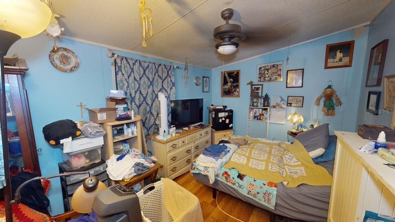 30501 Clearview Drive , Wesley Chapel, FL 33545 Photo