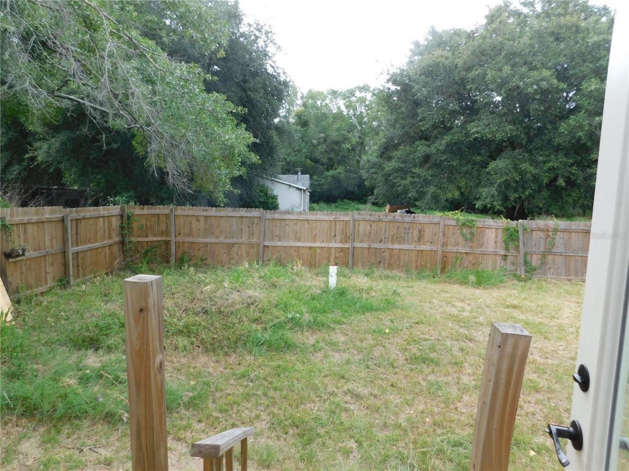 30501 Clearview Drive , Wesley Chapel, FL 33545 Photo