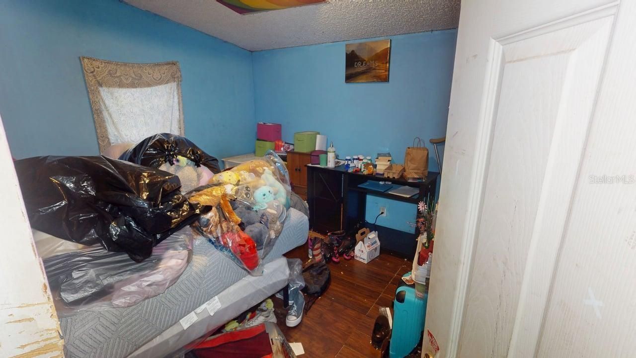 30501 Clearview Drive , Wesley Chapel, FL 33545 Photo