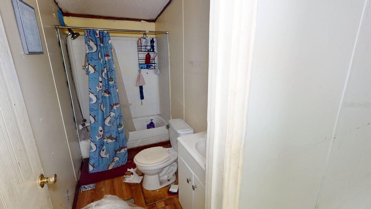 30501 Clearview Drive , Wesley Chapel, FL 33545 Photo
