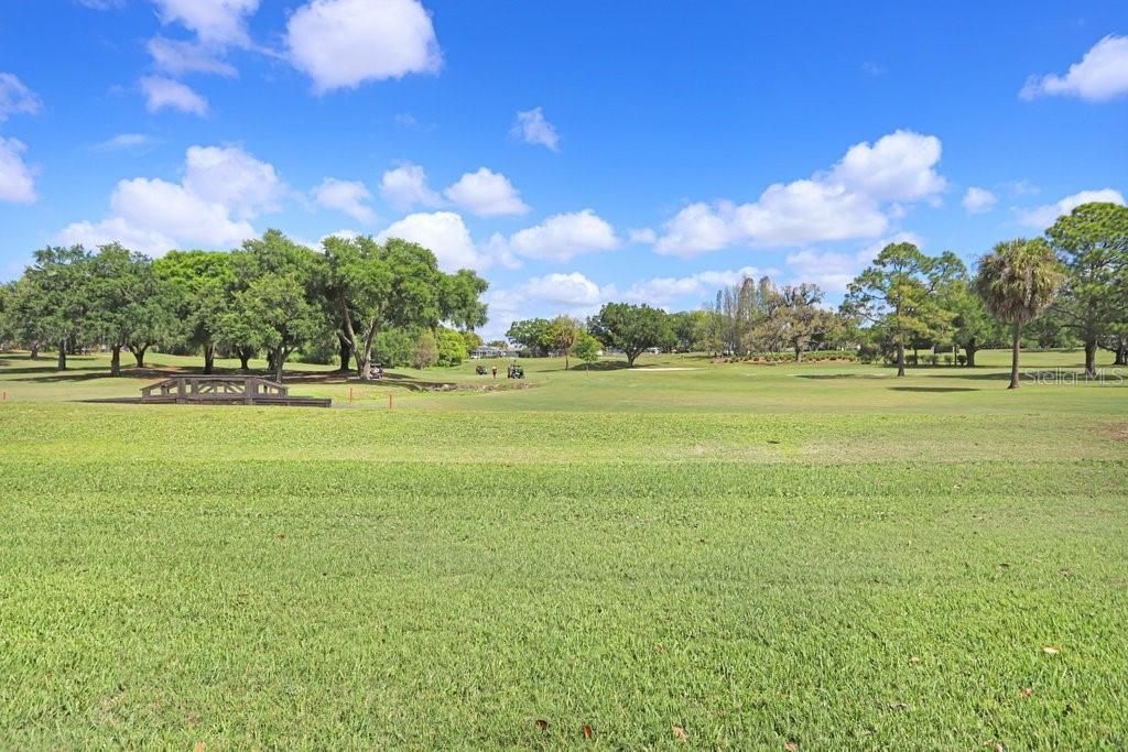2809 Fairway View Drive , Valrico, FL 33596 Photo