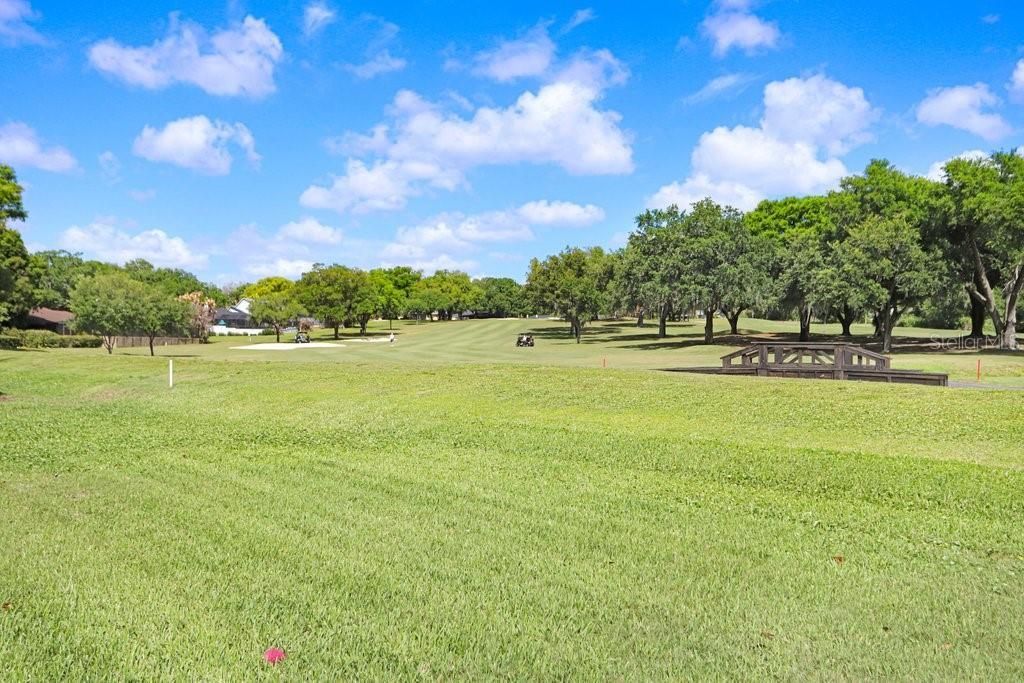 2809 Fairway View Drive , Valrico, FL 33596 Photo