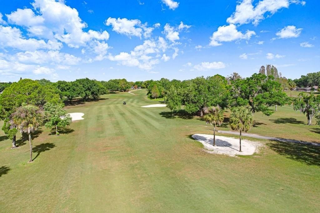2809 Fairway View Drive , Valrico, FL 33596 Photo
