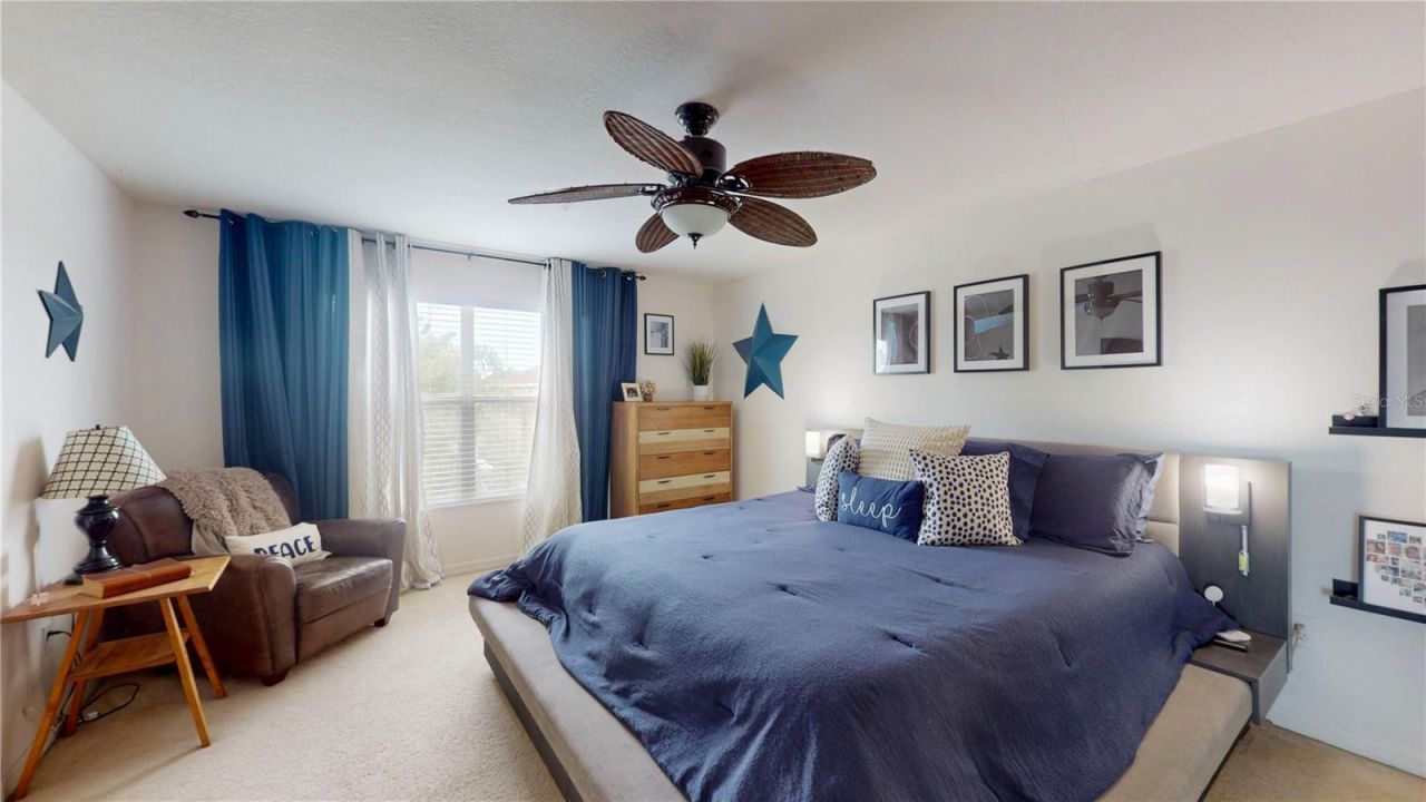 1449 Kaffir Lily Court , Trinity, FL 34655 Photo