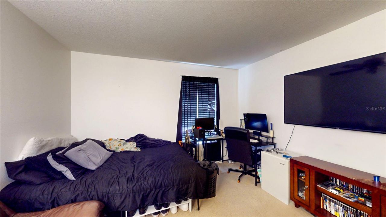 1449 Kaffir Lily Court , Trinity, FL 34655 Photo