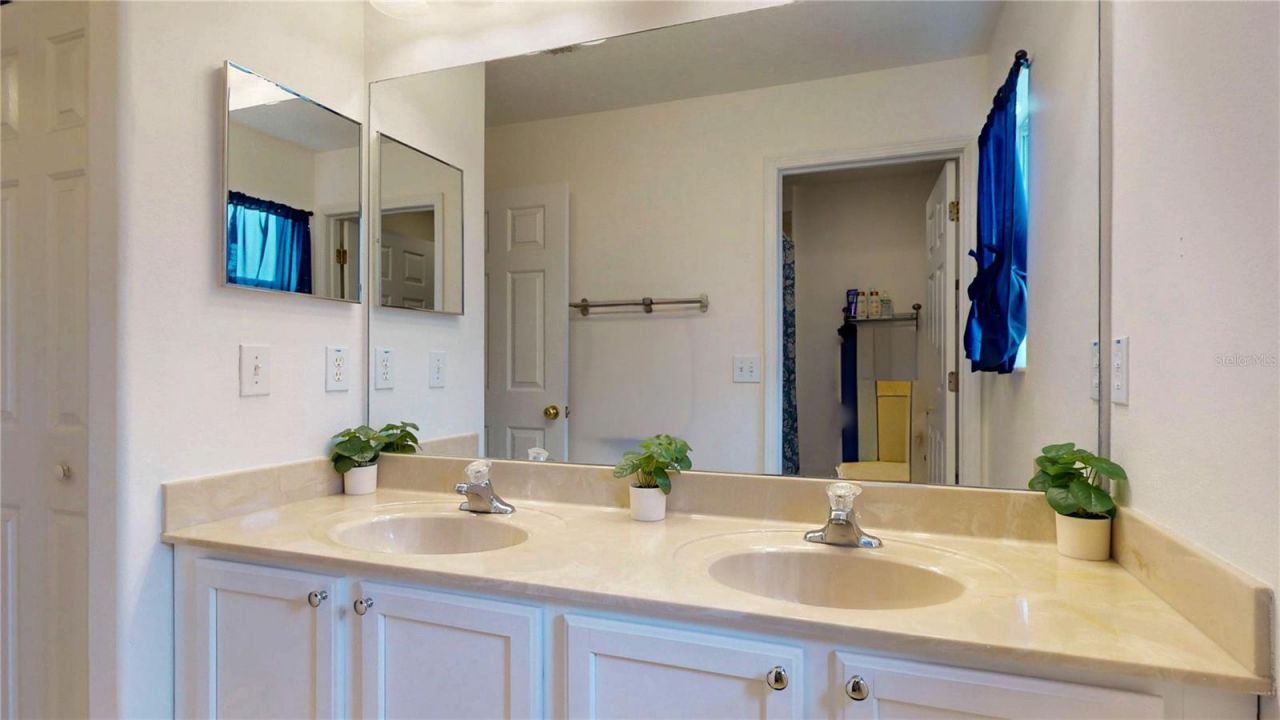 1449 Kaffir Lily Court , Trinity, FL 34655 Photo