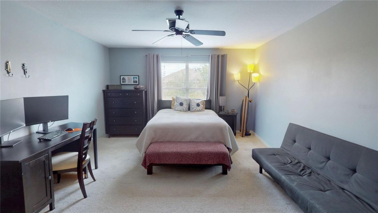 1449 Kaffir Lily Court , Trinity, FL 34655 Photo