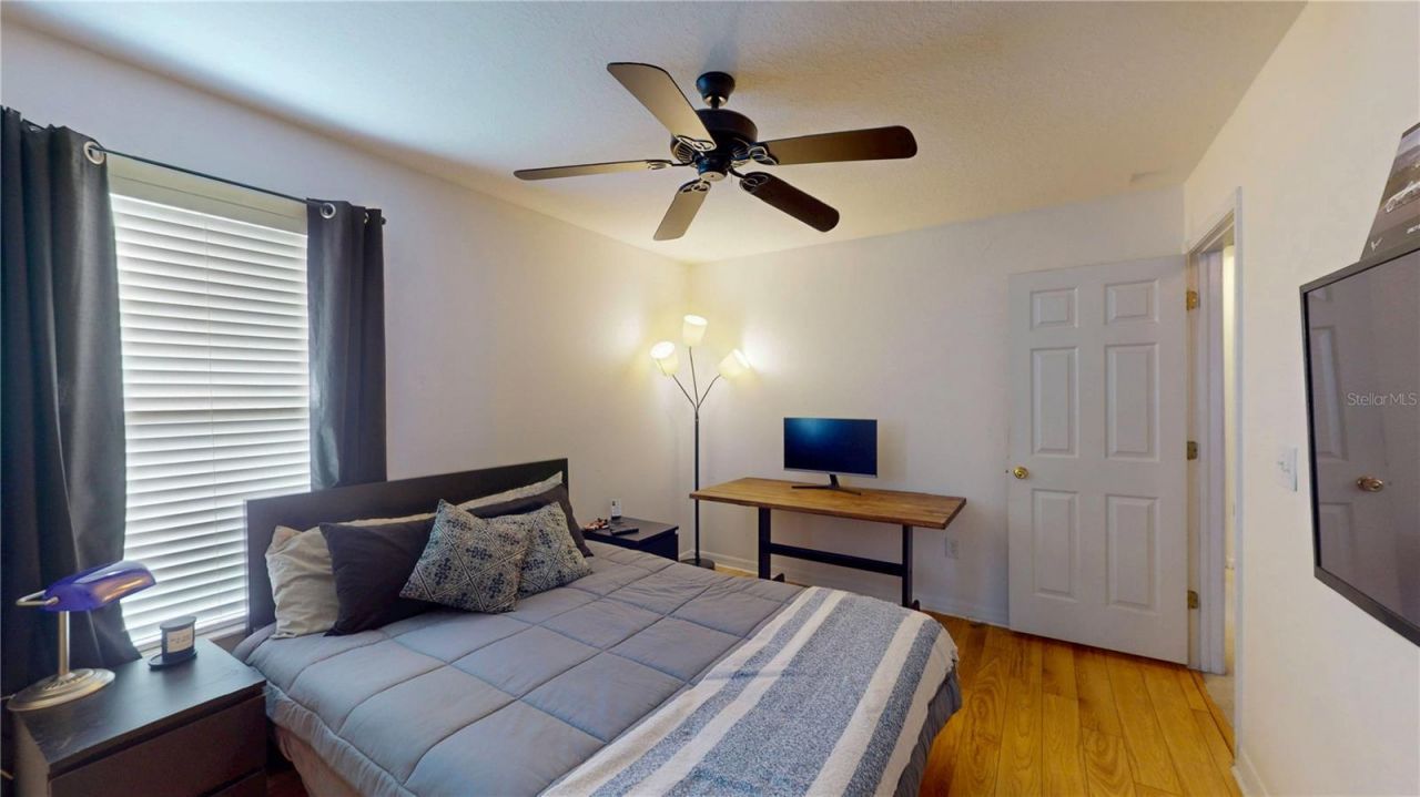 1449 Kaffir Lily Court , Trinity, FL 34655 Photo