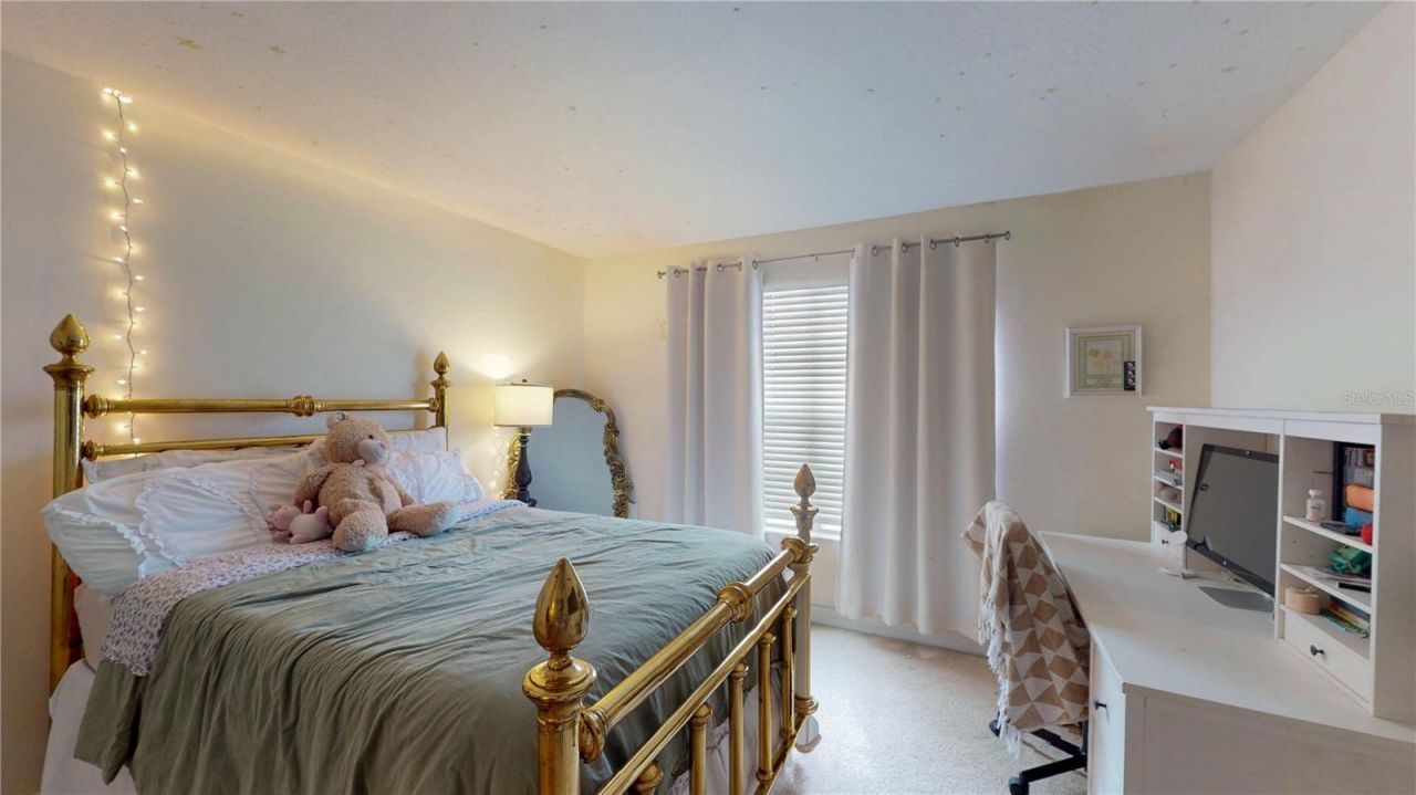 1449 Kaffir Lily Court , Trinity, FL 34655 Photo
