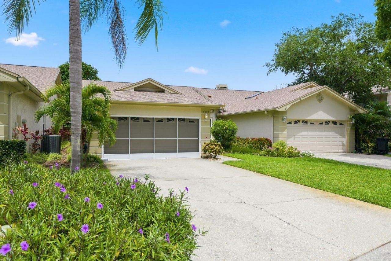 3006 Fieldbrook Place, Clearwater, FL 33761 Photo