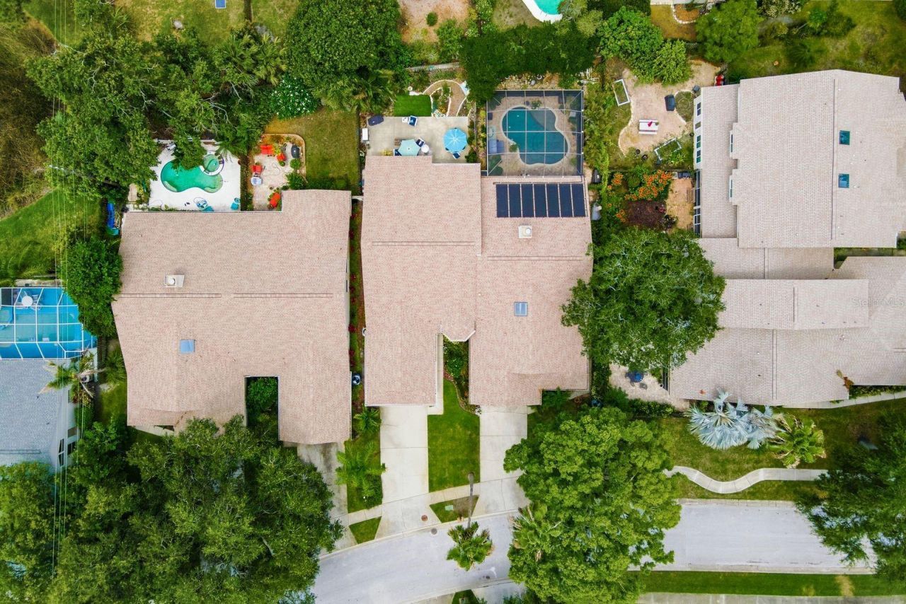 3006 Fieldbrook Place, Clearwater, FL 33761 Photo