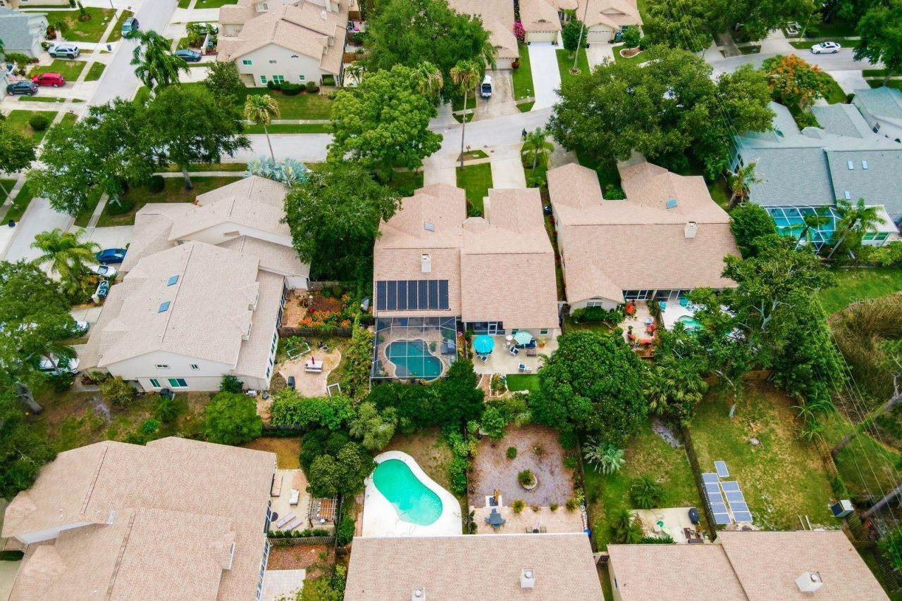 3006 Fieldbrook Place, Clearwater, FL 33761 Photo