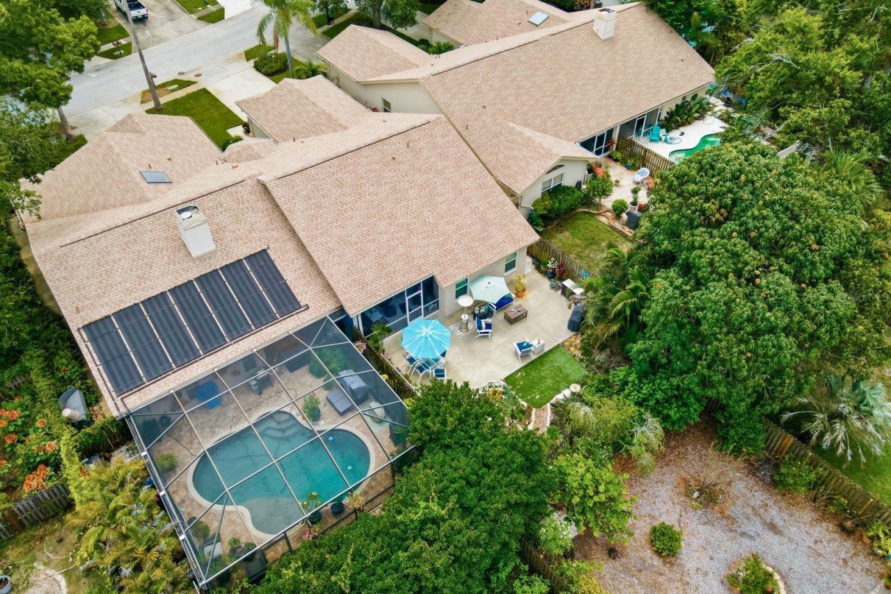 3006 Fieldbrook Place, Clearwater, FL 33761 Photo