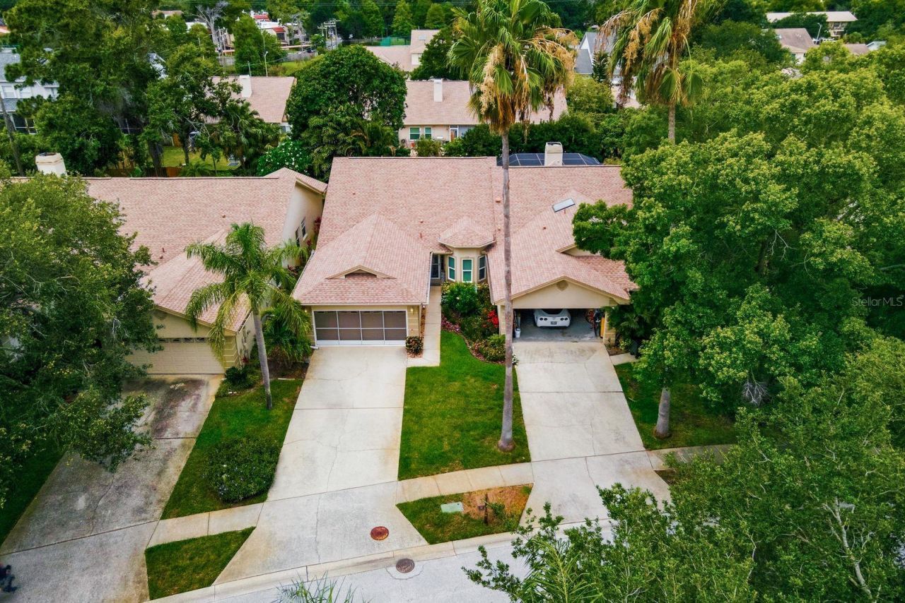 3006 Fieldbrook Place, Clearwater, FL 33761 Photo