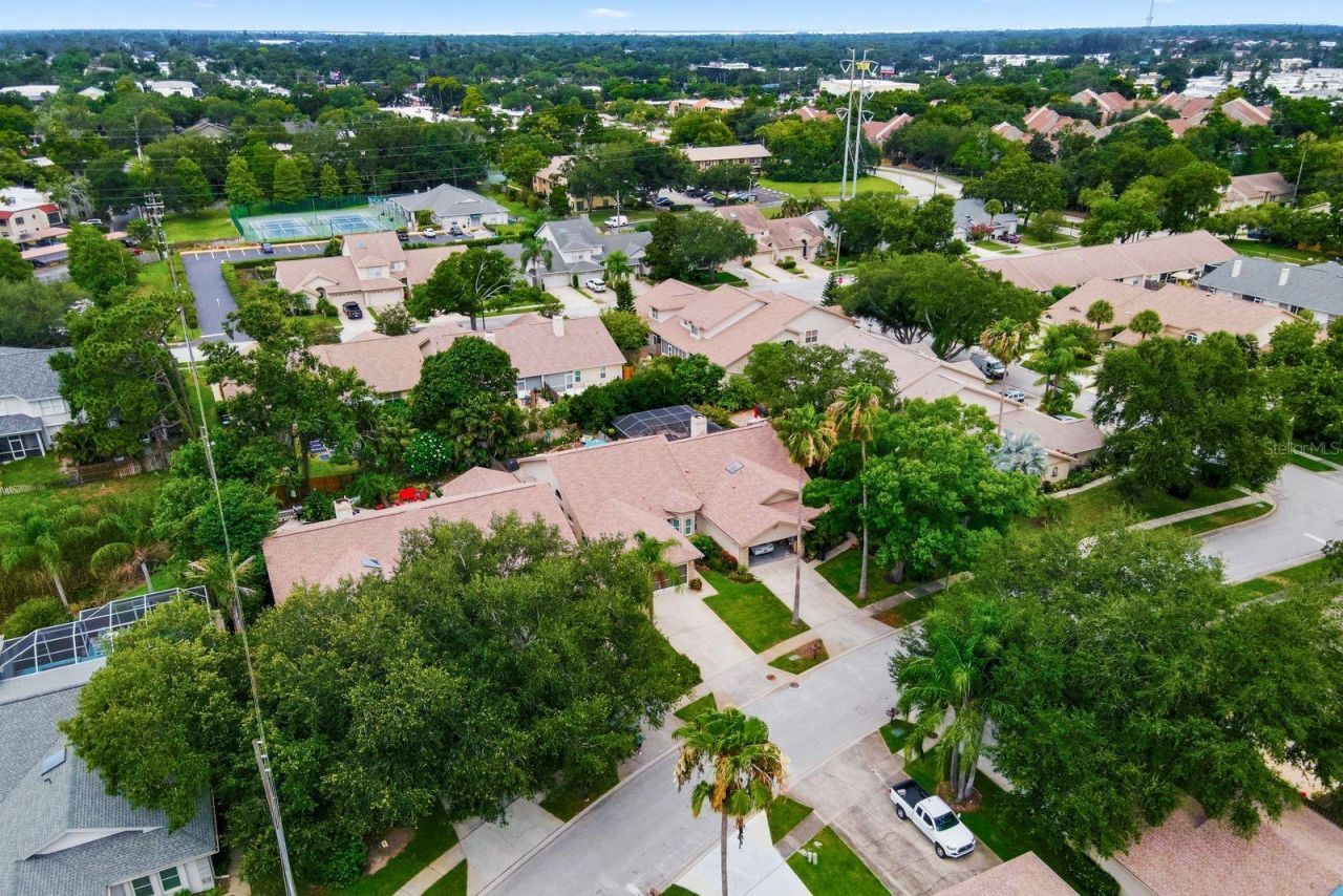 3006 Fieldbrook Place, Clearwater, FL 33761 Photo