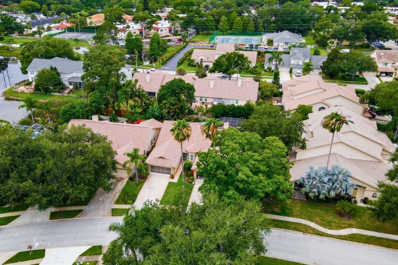 3006 Fieldbrook Place, Clearwater, FL 33761 Photo