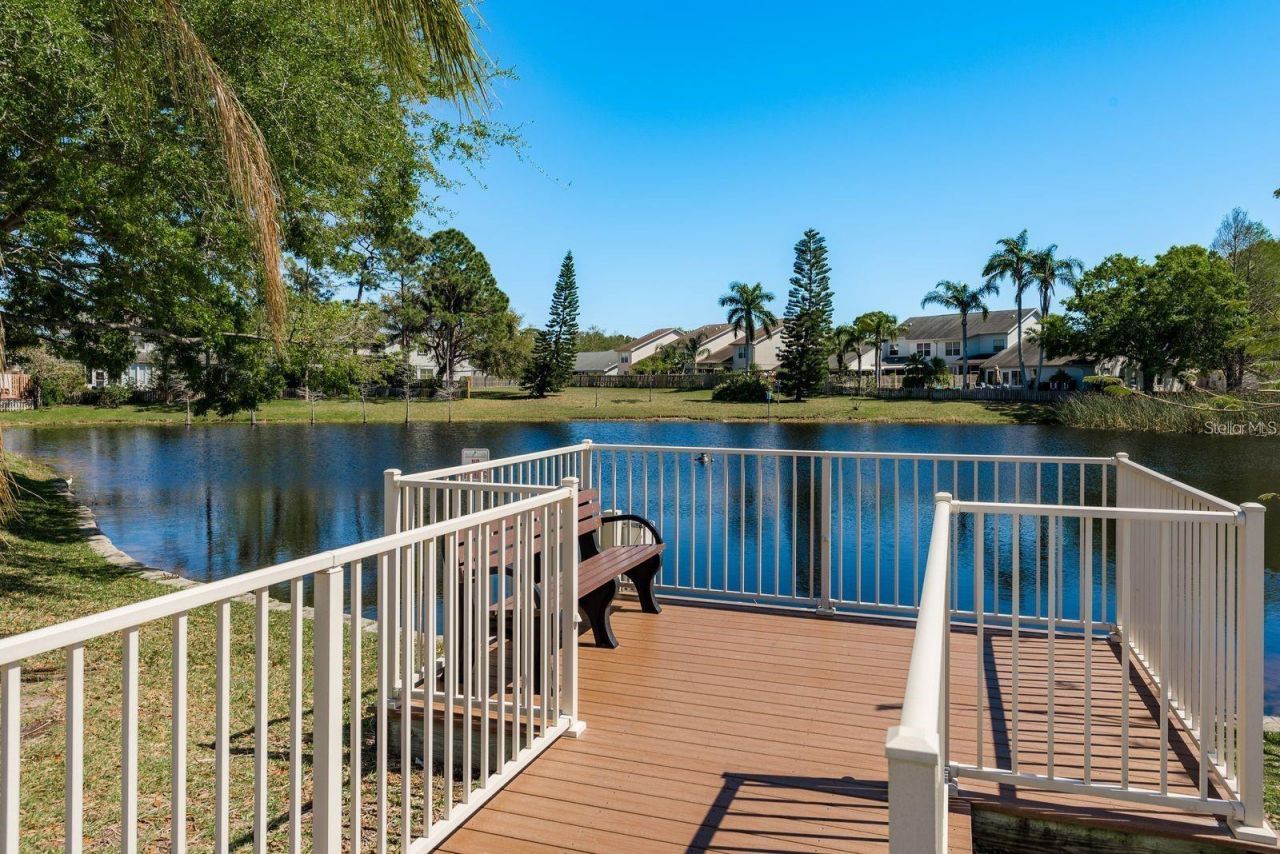 3006 Fieldbrook Place, Clearwater, FL 33761 Photo