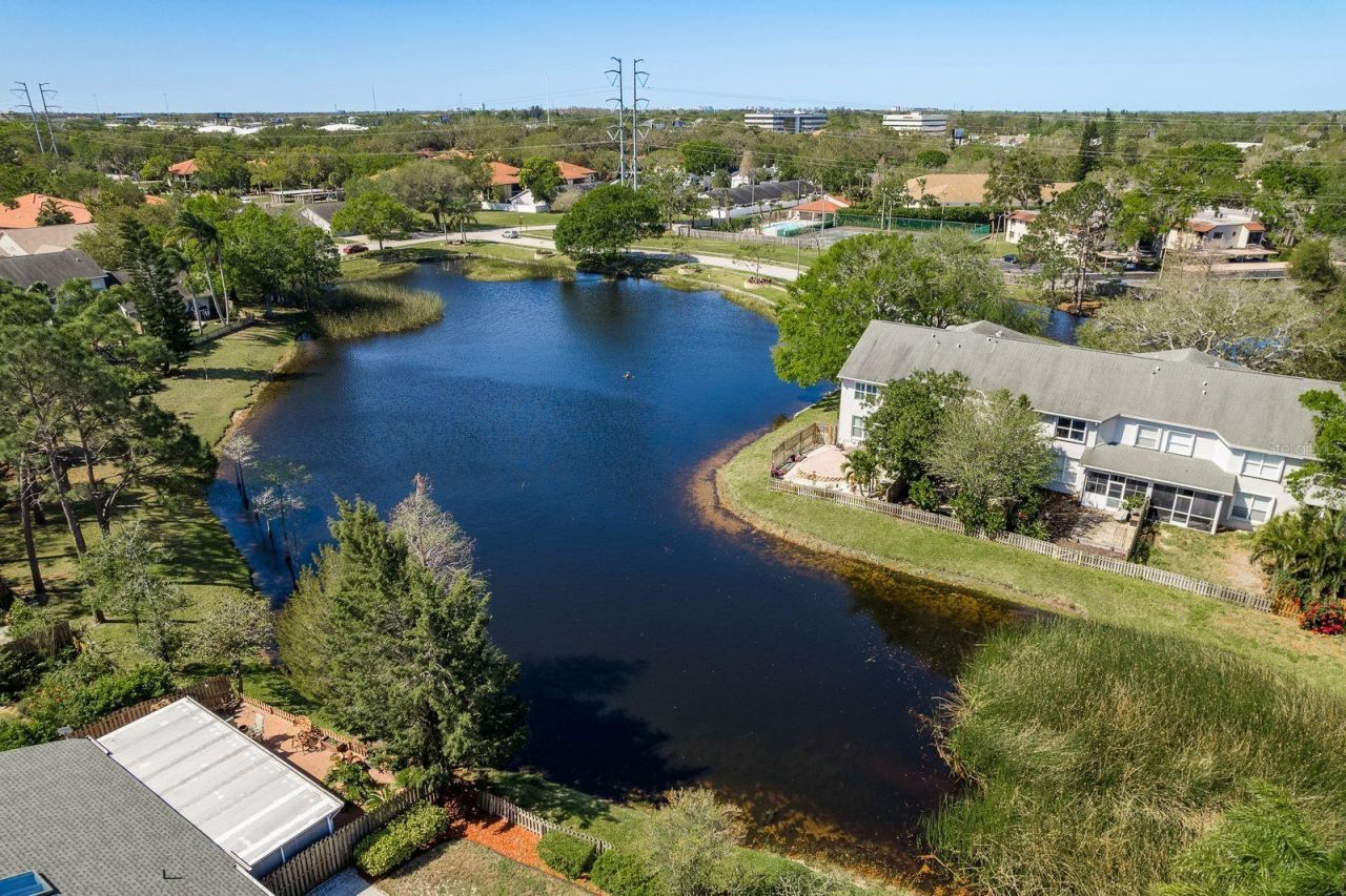 3006 Fieldbrook Place, Clearwater, FL 33761 Photo