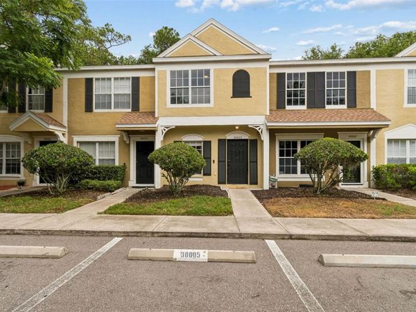 30005 GRANDA HILLS COURT, WESLEY CHAPEL, FL 33543