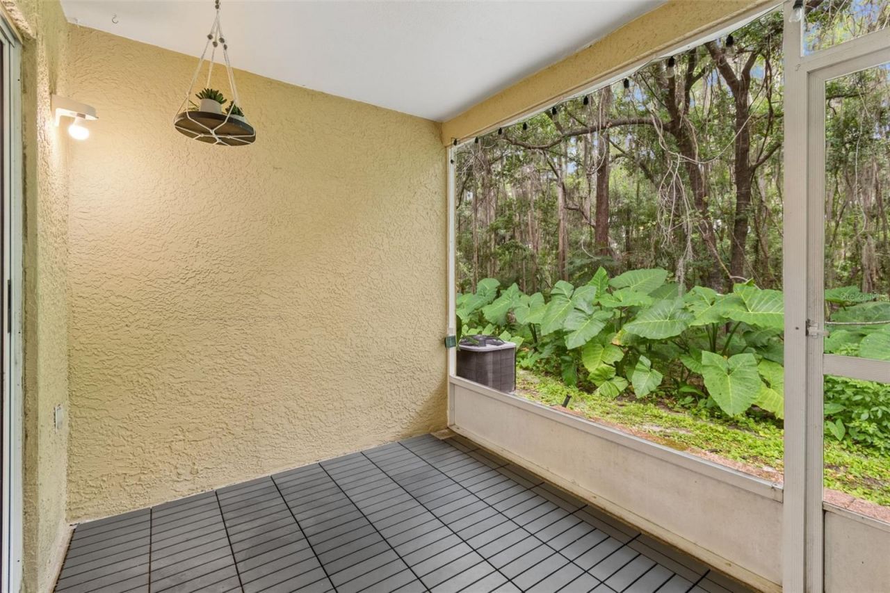 30005 Granda Hills Court , Wesley Chapel, FL 33543 Photo
