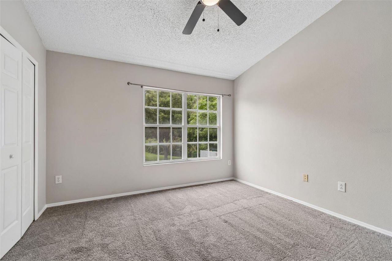 30005 Granda Hills Court , Wesley Chapel, FL 33543 Photo