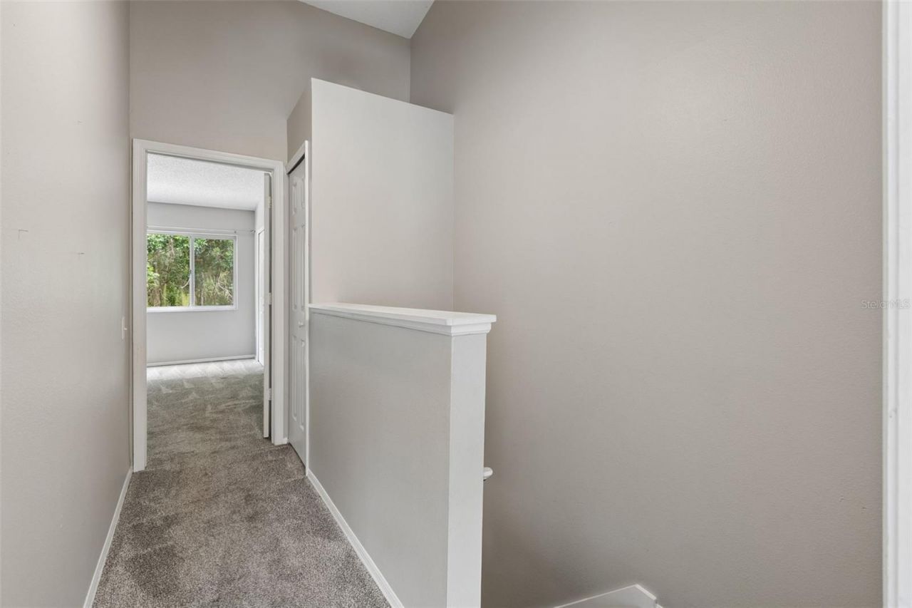 30005 Granda Hills Court , Wesley Chapel, FL 33543 Photo