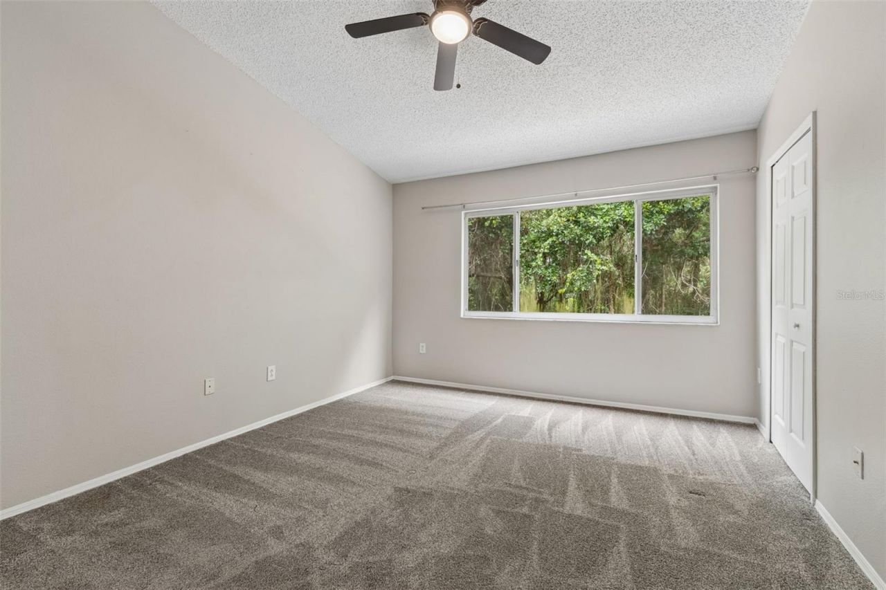 30005 Granda Hills Court , Wesley Chapel, FL 33543 Photo