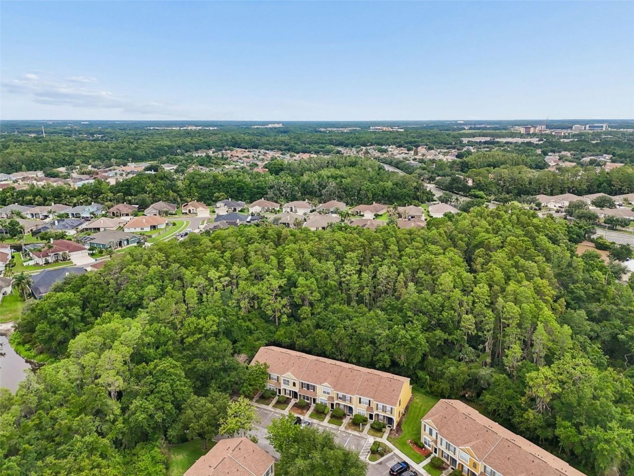30005 Granda Hills Court , Wesley Chapel, FL 33543 Photo