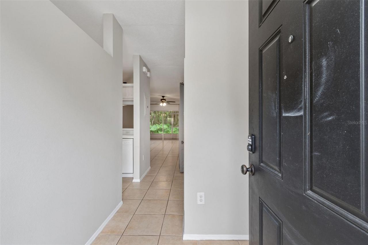 30005 Granda Hills Court , Wesley Chapel, FL 33543 Photo