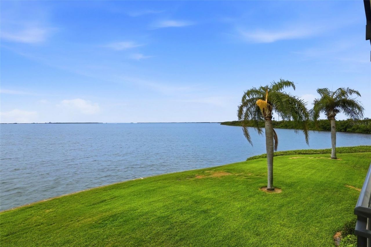 6372 Palma Del Mar Boulevard S, Unit 207, Saint Petersburg, FL 33715 Photo