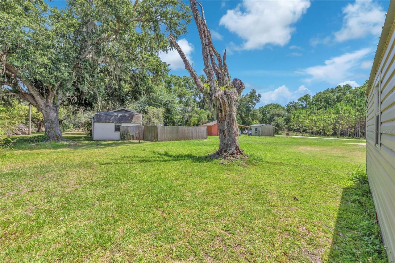 1006 Gray Street, Plant City, FL 33563 Photo