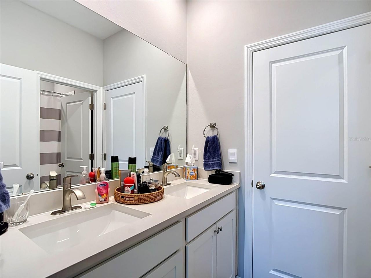 7677 Broad River Avenue, Land O Lakes, FL 34638 Photo