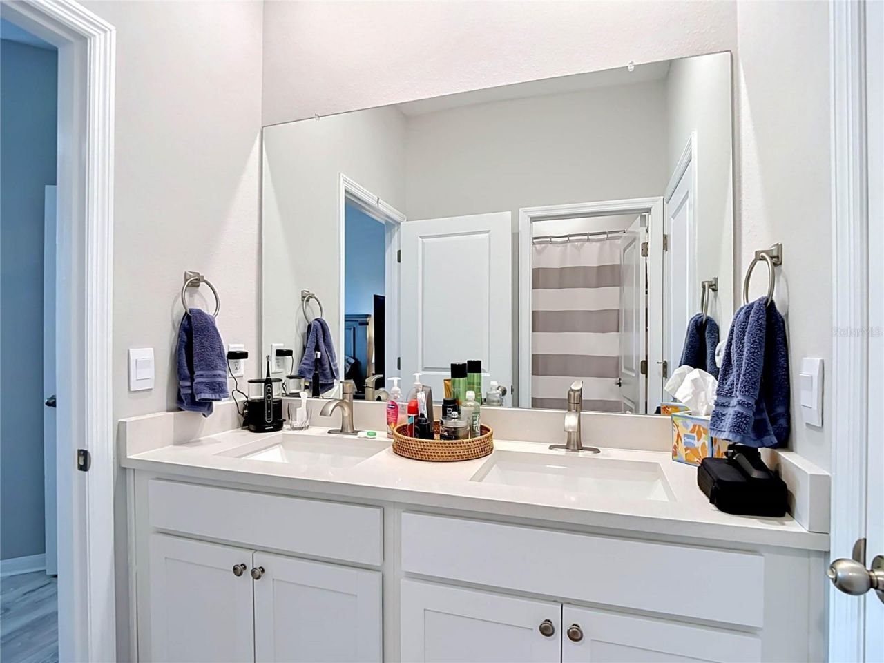 7677 Broad River Avenue, Land O Lakes, FL 34638 Photo