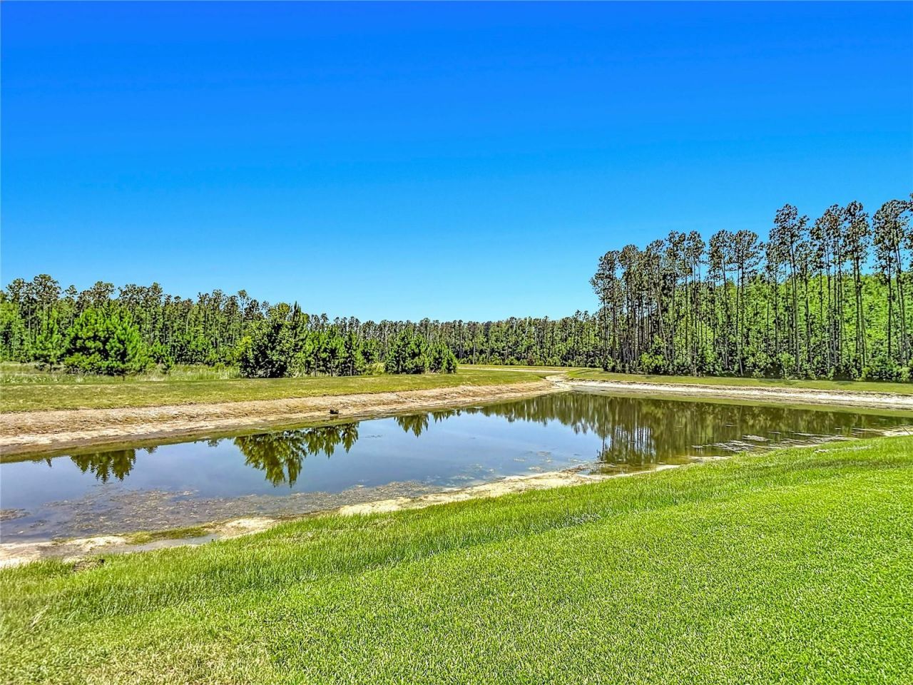 7677 Broad River Avenue, Land O Lakes, FL 34638 Photo