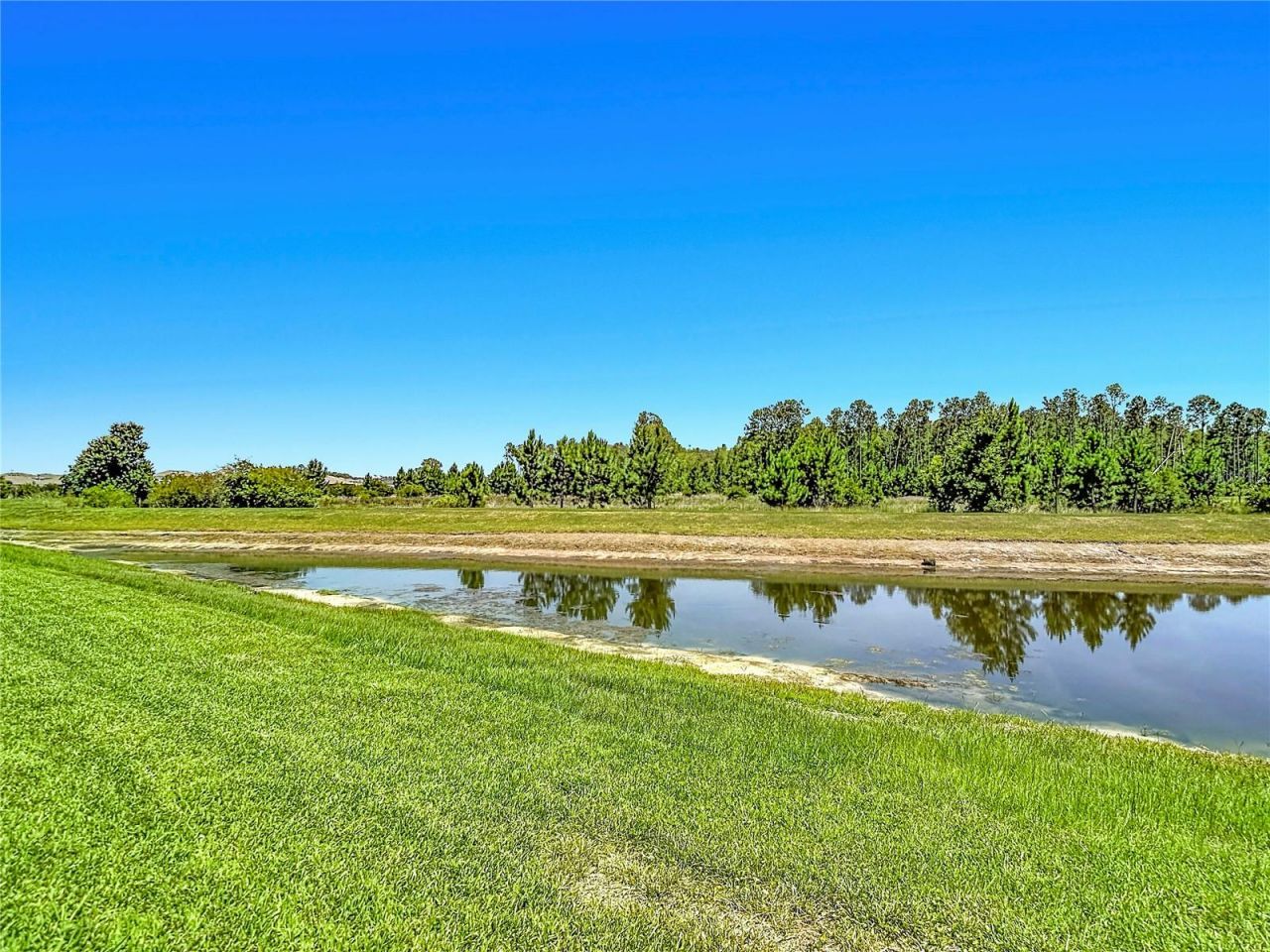 7677 Broad River Avenue, Land O Lakes, FL 34638 Photo