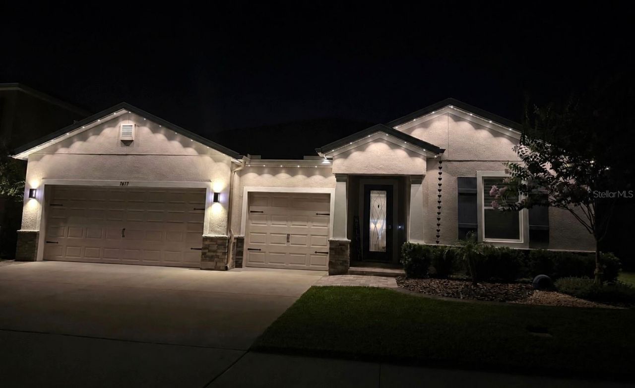 7677 Broad River Avenue, Land O Lakes, FL 34638 Photo