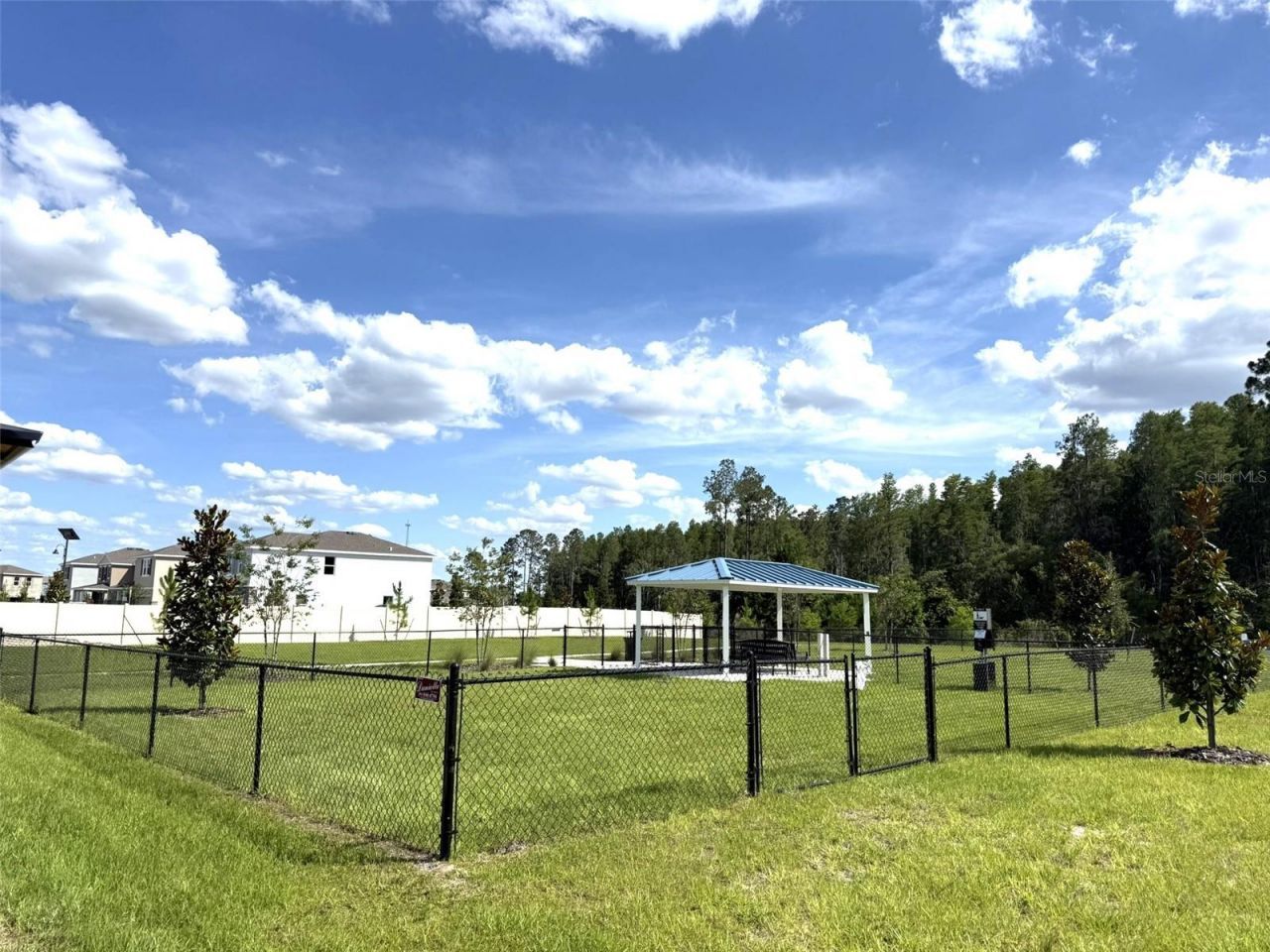 7677 Broad River Avenue, Land O Lakes, FL 34638 Photo