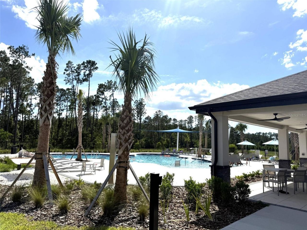 7677 Broad River Avenue, Land O Lakes, FL 34638 Photo