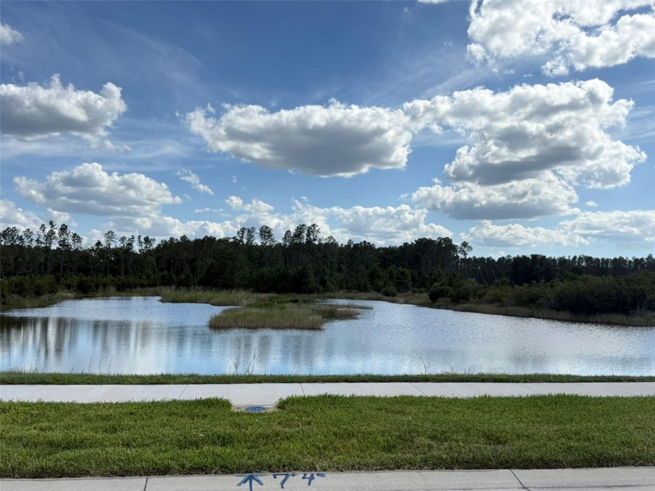 7677 Broad River Avenue, Land O Lakes, FL 34638 Photo