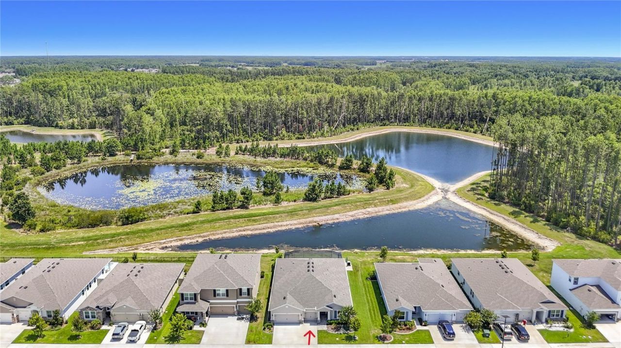 7677 Broad River Avenue, Land O Lakes, FL 34638 Photo